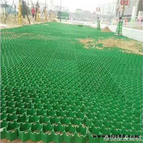 東莞HDPE塑料植草格 草坪格 飛機場高爾夫球場停車場小區(qū)綠化帶專用磚