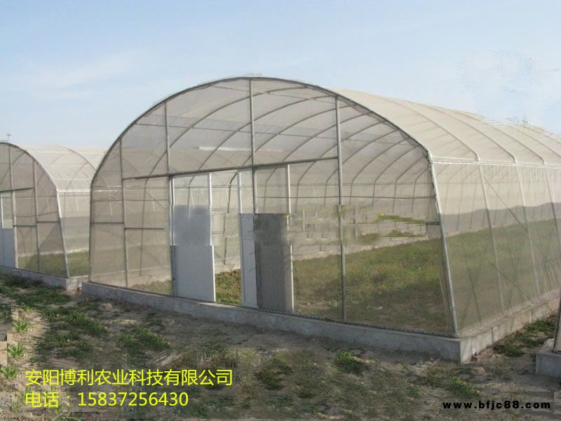 全國上門安裝 博利方鋼大棚草莓大棚 防風抗壓質(zhì)量保證