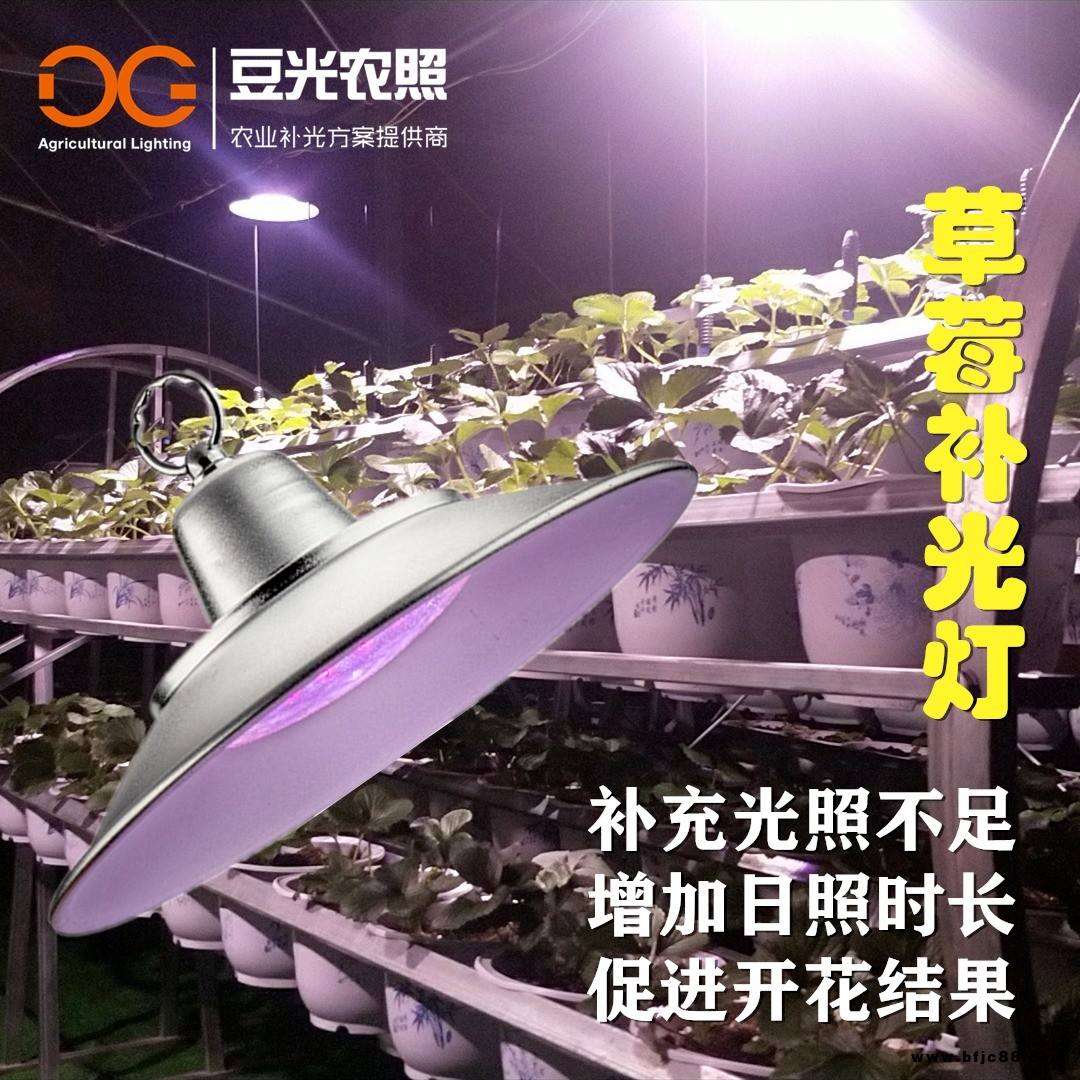 設(shè)施草莓專用光照燈 LED全光譜植物生長燈 大棚防水補光燈 垂直農(nóng)業(yè)照明