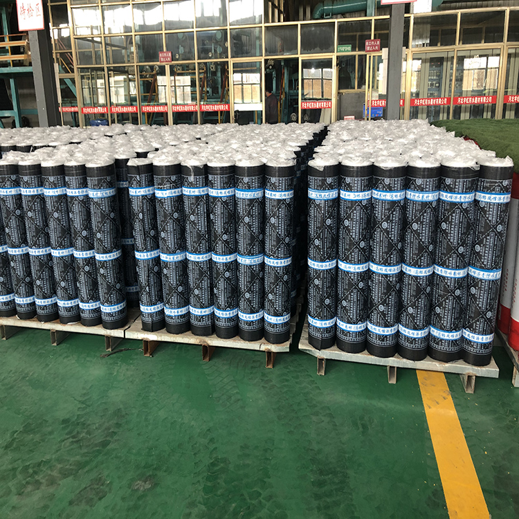 自粘防水卷材 屋面sbs防水卷材 防水卷材生產商