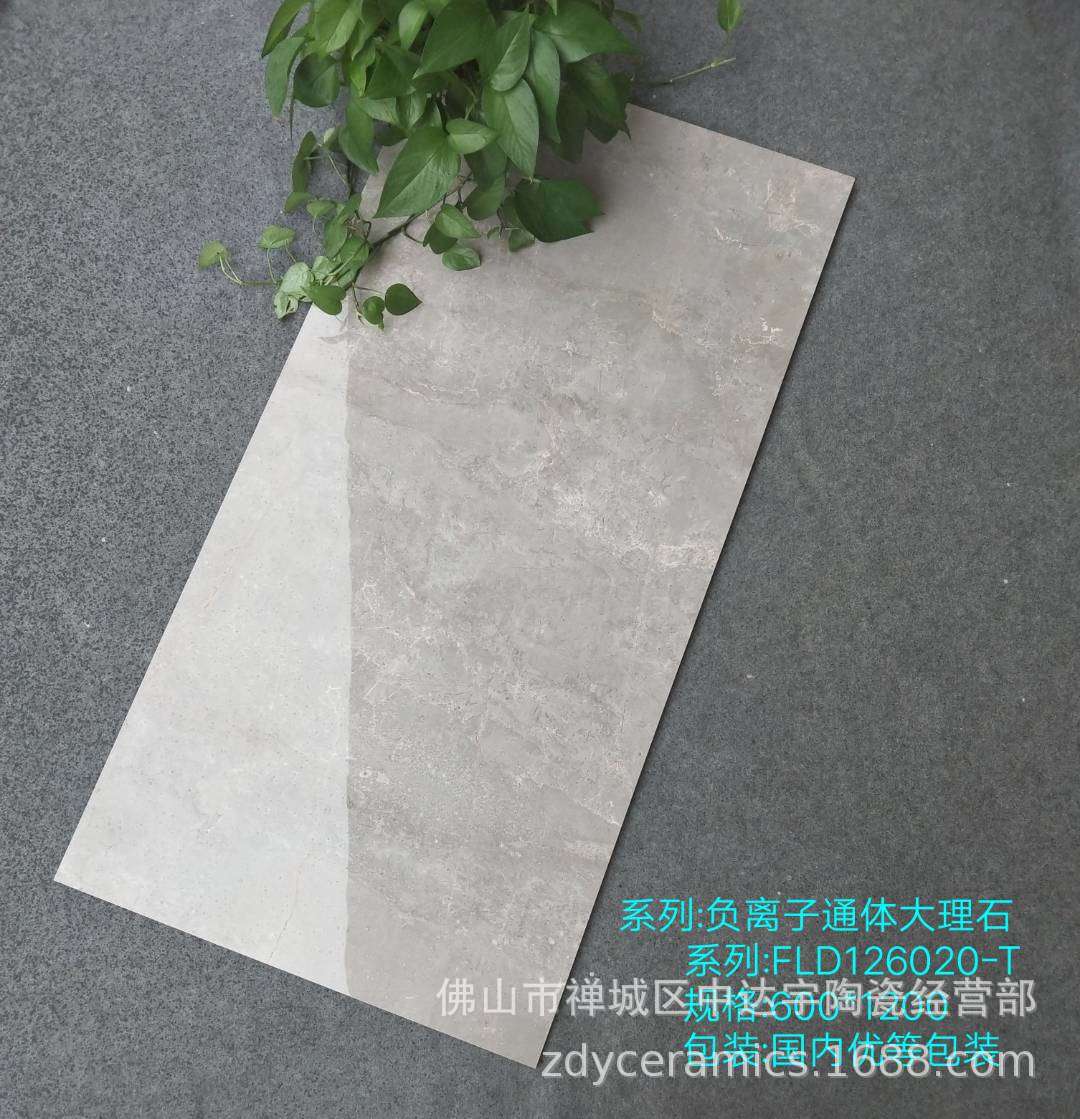 FQfs柔光亮光600<i></i>x1200mm一石兩面負(fù)離子通體大理石客廳衛(wèi)生間瓷磚 安達(dá)仕陶瓷示例圖19