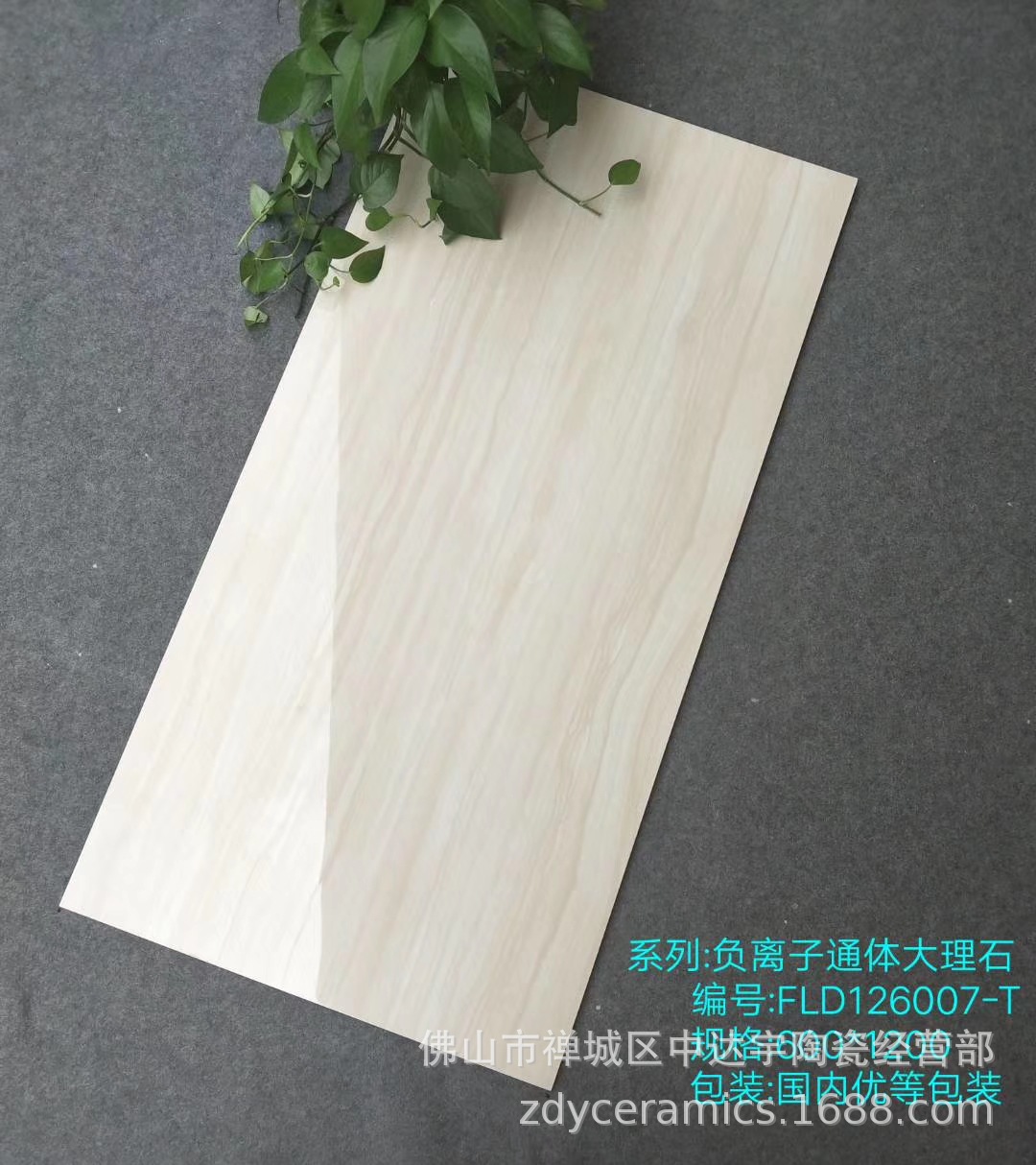 FQfs柔光亮光600<i></i>x1200mm一石兩面負(fù)離子通體大理石客廳衛(wèi)生間瓷磚 安達(dá)仕陶瓷示例圖14