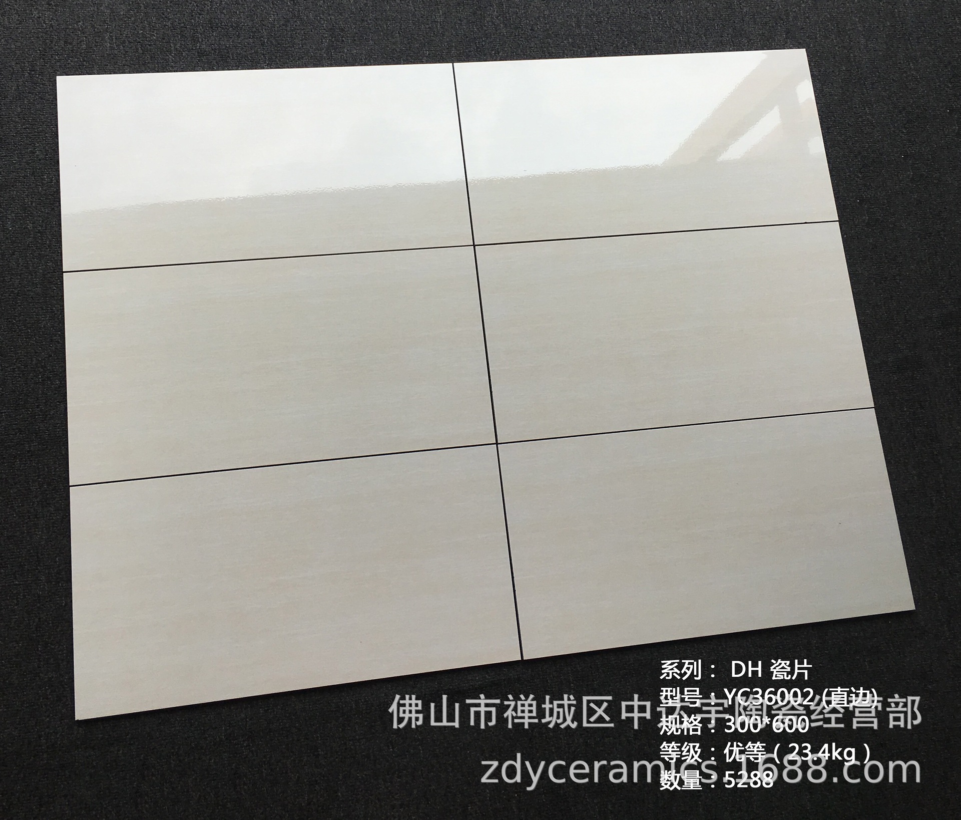 佛山JFD300*600mm唯美現代風格地面北歐廚衛印花磚內墻磚瓷片瓷磚示例圖69