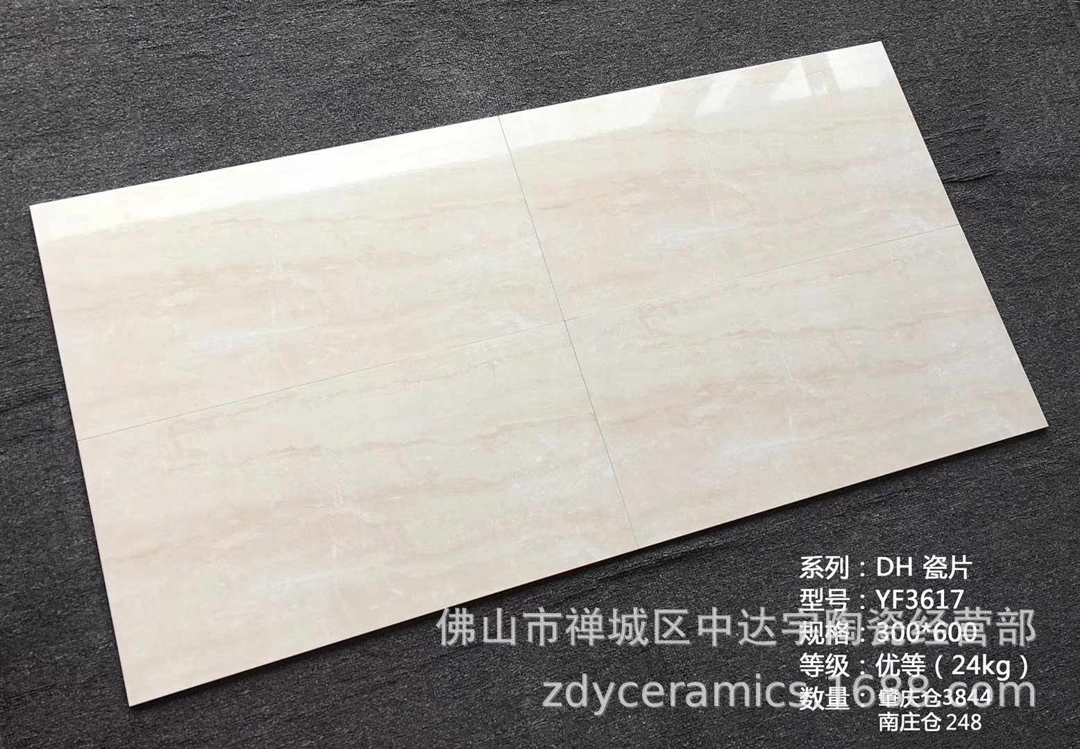 佛山JFD300*600mm唯美現代風格地面北歐廚衛印花磚內墻磚瓷片瓷磚示例圖4
